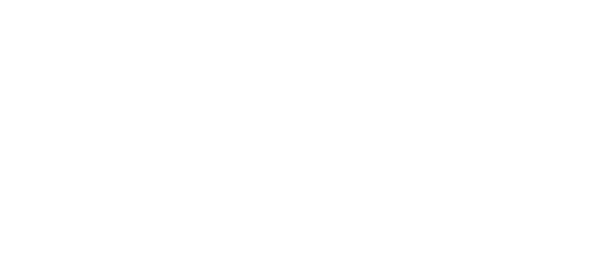 [Logo FESN Master Cursos]